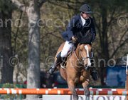 Le Jeune Once TosTour2013- S5 2561 : Arezzo, Arezzo Equestrian Centre, Le Jeune Philippe, Once de Kreisker, Toscana Tour 2013, foto di Stefano Secchi ©